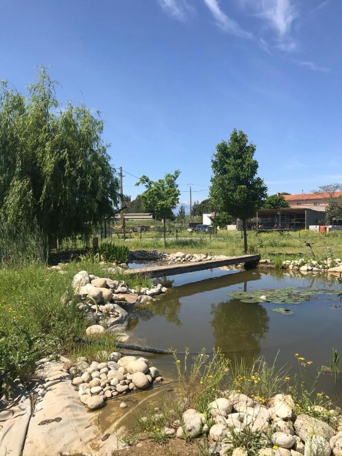 La Massoterie gîte 1 Theza Esterno foto